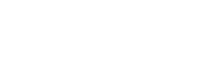 DualLine Logo
